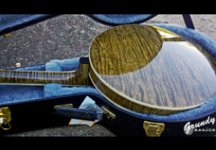 Cockatoos themed banjo