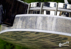 Panther themed banjo