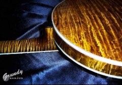 Wild Cat themed banjo