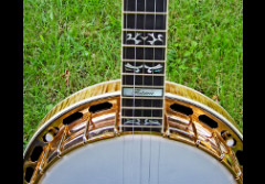 Wolf themed banjo